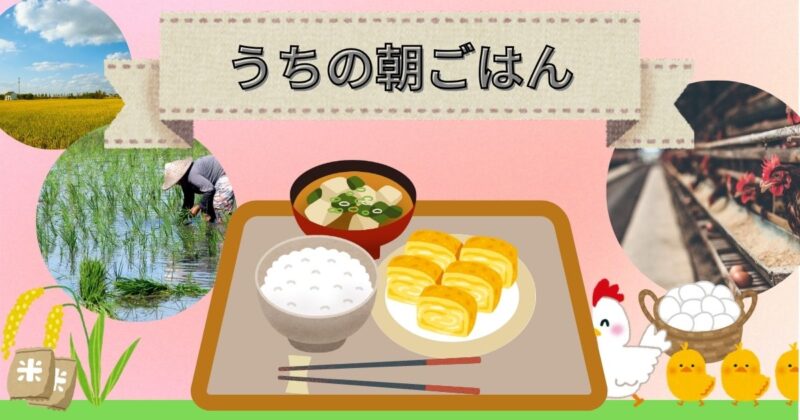 うちの朝ごはん-玉子焼き