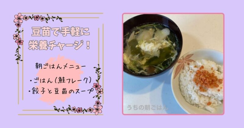 朝ごはんの食卓。ごはんに鮭フレークをのせ、餃子と豆苗のスープを添えたメニュー。豆苗で手軽に栄養チャージできる一皿の写真。