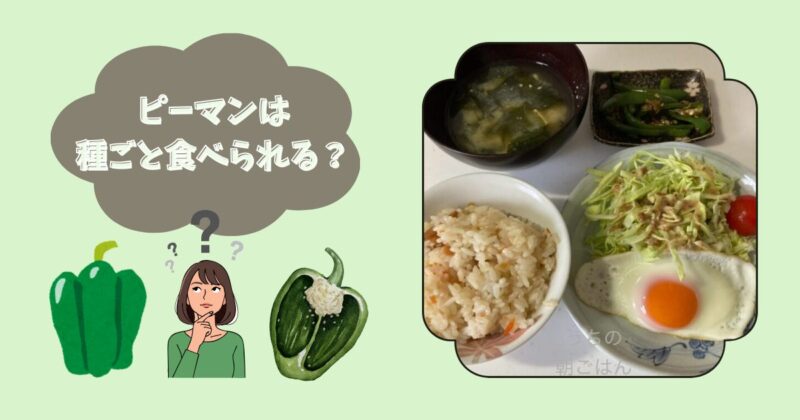 ピーマンは種ごと食べられる？と疑問を抱く女性のイラストと、朝食の食卓写真。混ぜご飯、味噌汁、目玉焼き、サラダ、ピーマン炒めが並んでいる