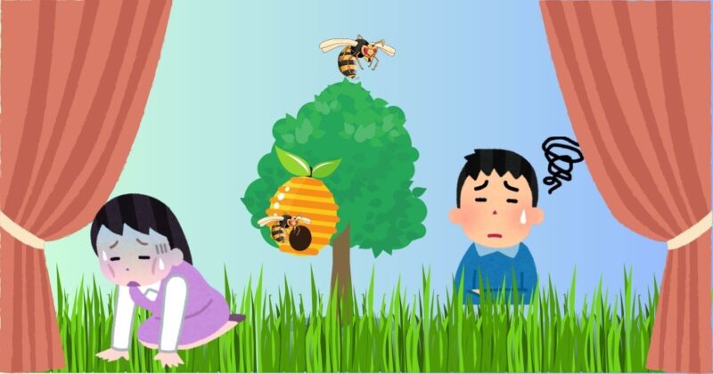 スズメバチの巣発見!