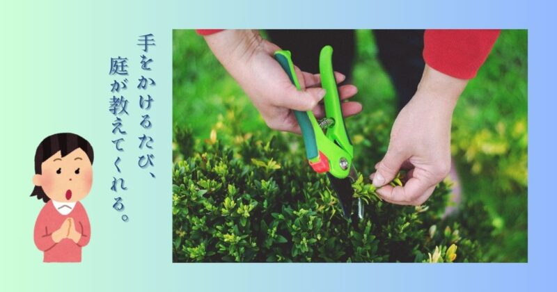 風が通るよう剪定された木々と草花が、柔らかな日差しを受けて揺れている。
