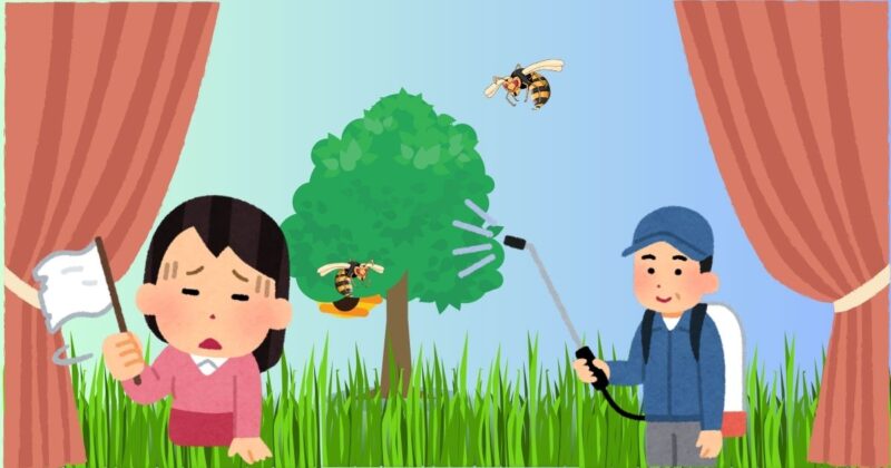 スズメバチとの向き合い方