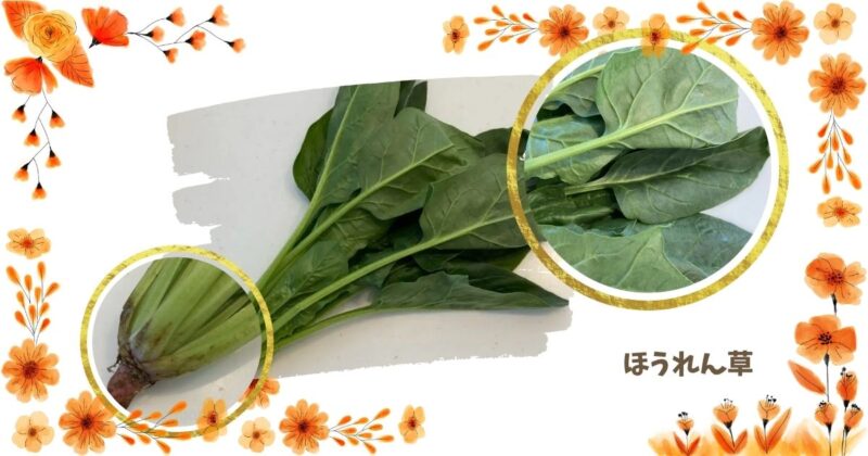 ほうれん草-保存