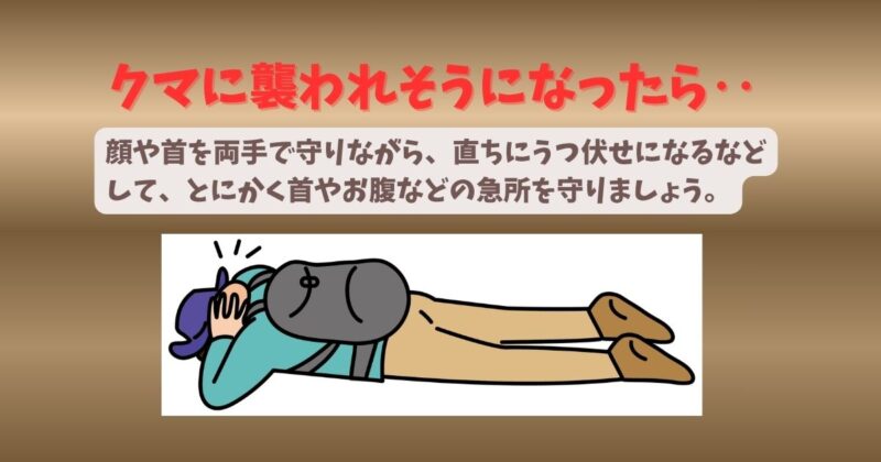 クマから身を守る姿勢のイラスト顔や首を両手で守りながら、直ちにうつ伏せになるなどして、とにかく首やお腹などの急所を守りましょう。