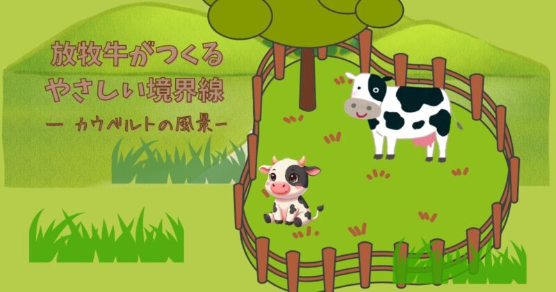 山あいの自然の中、電気柵に囲まれた放牧地で草を食べる牛。人里と森の間に緩衝地帯をつくるカウベルトの様子。