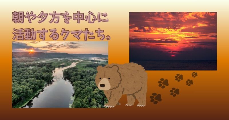 森の中で暮らすクマのイラストと、朝焼けと夕暮れの自然風景。クマが自然のリズムに合わせて活動する様子を表す。