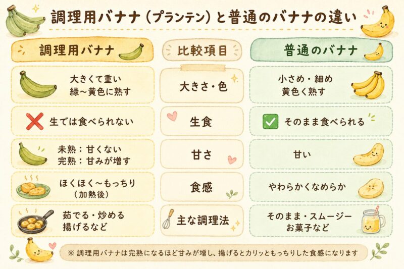 調理用バナナ(プランテン)と普通のバナナの違いを比較した表。大きさ・色、生食、甘さ、食感、主な調理法の5項目で比較。調理用バナナは大きくて生では食べられず加熱が必要、普通のバナナは小さめでそのまま食べられる、といった違いを示す